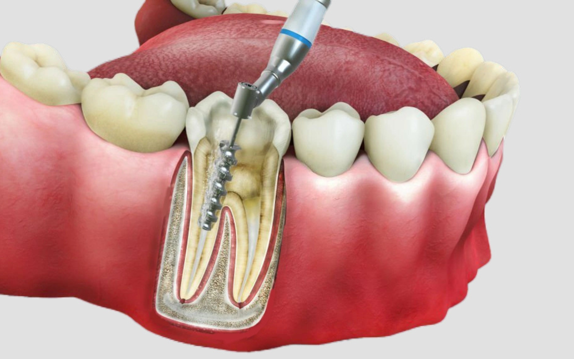 Image hover effect image