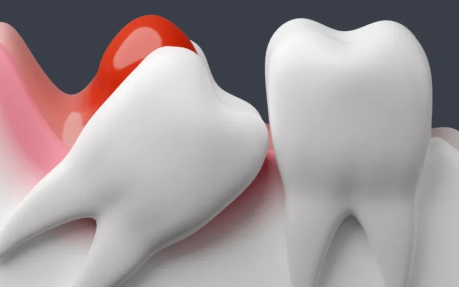 Image hover effect image